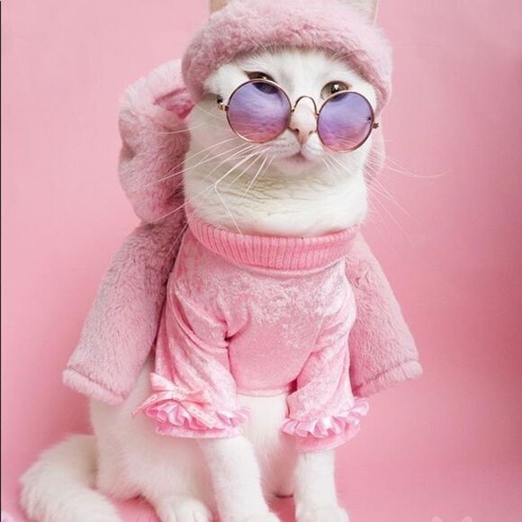 ⛔️CLEARANCE⛔️ Mini Retro Pet Sunglasses - Picture 8 of 15